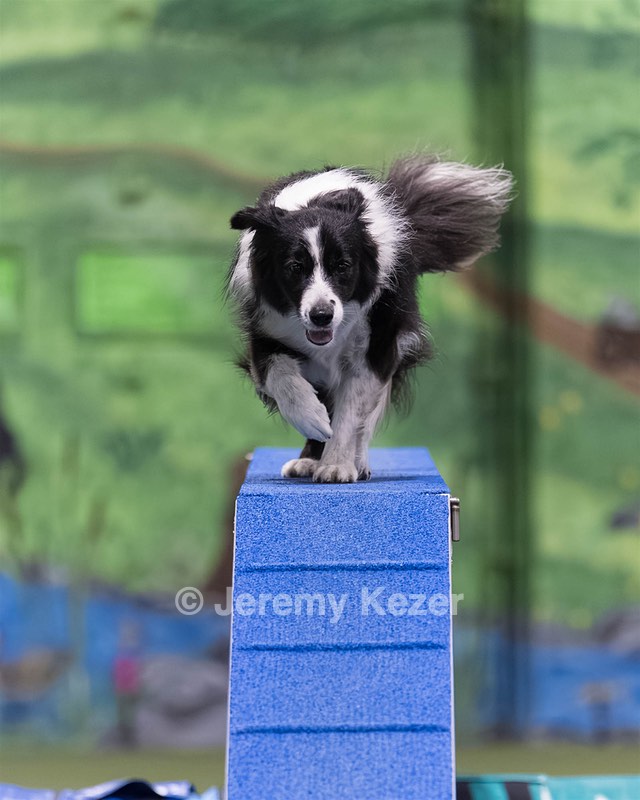 Breeze Schunk