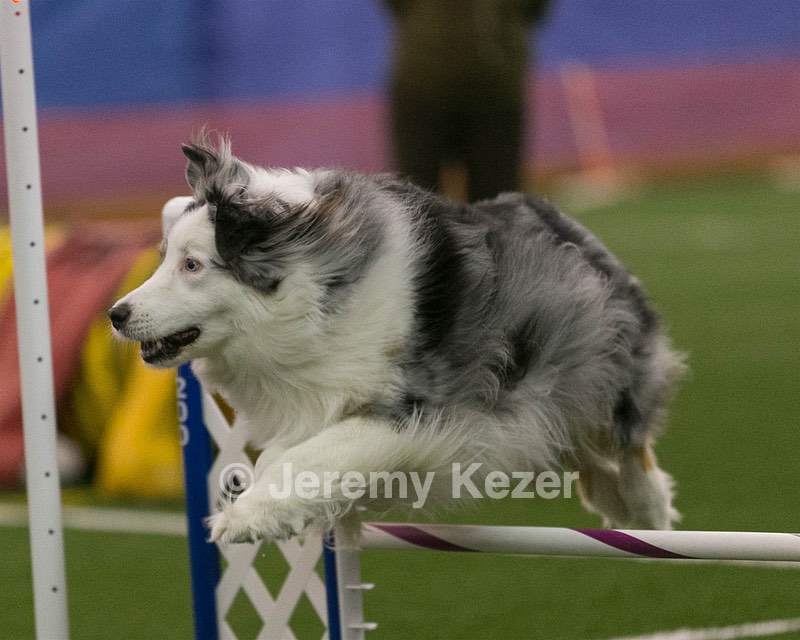 20150321-LEAP-0371.jpg