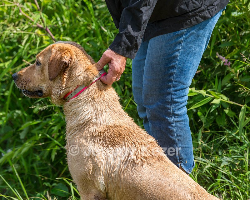 Penny Adsitt-Hager