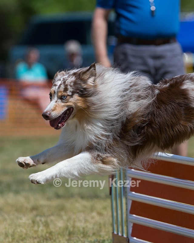 20150613-CCKC-0078.jpg