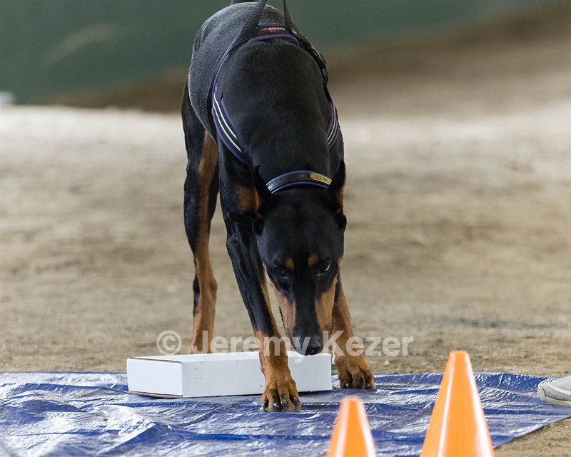 Kizmit Lombard