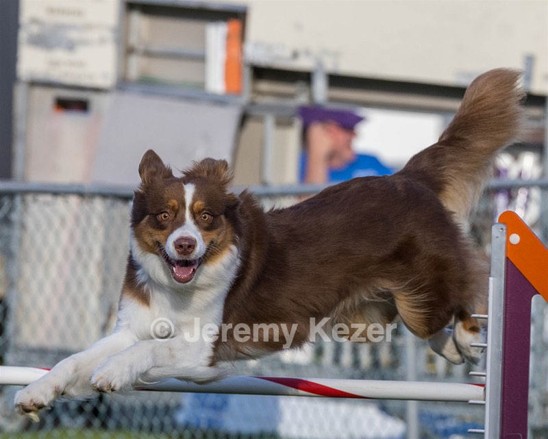 20230916-PVKC-1698.jpg