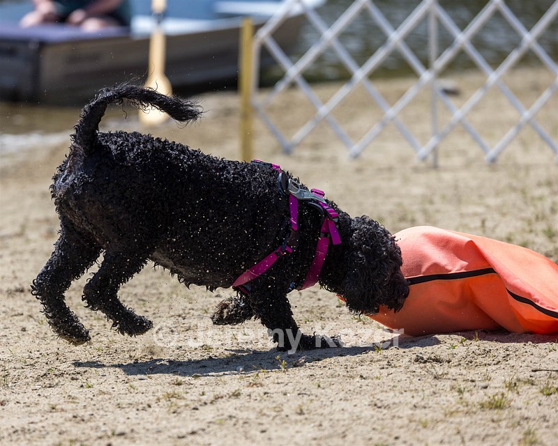 Tango Abbruzzese
