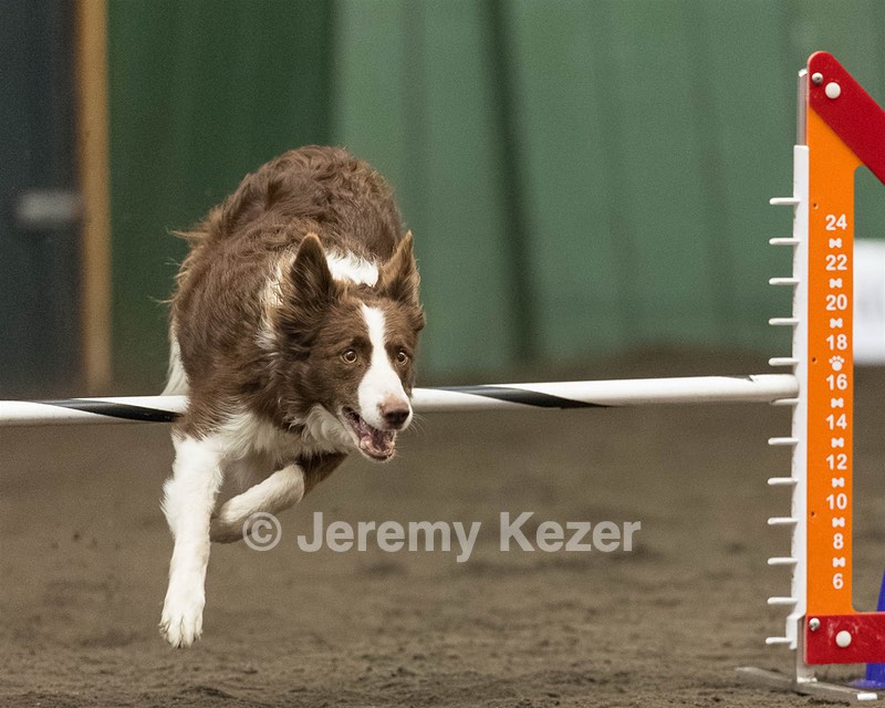 Ruff Bettler
