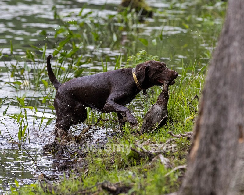 River Williams