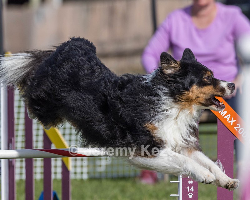 20230916-PVKC-1382.jpg