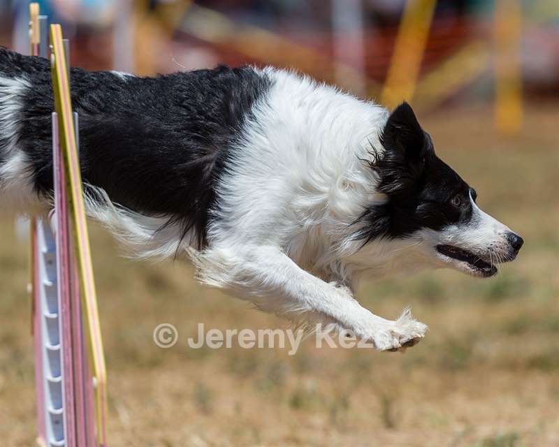 20160619-CCKC-1034.jpg