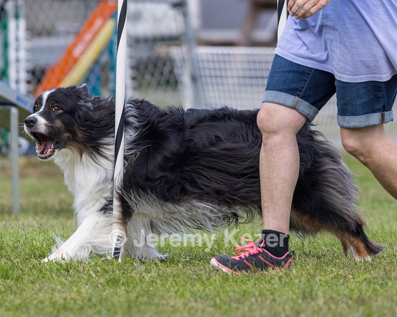 20230917-PVKC-2780.jpg