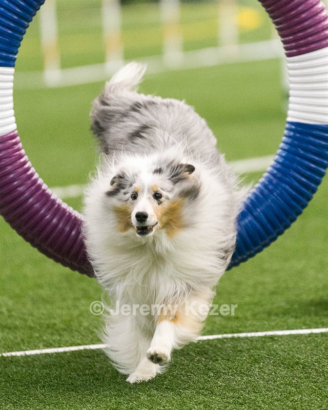 20150322-LEAP-0185.jpg