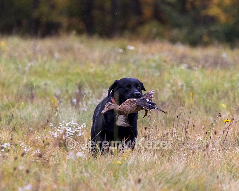 20211010-WCL-0008.jpg