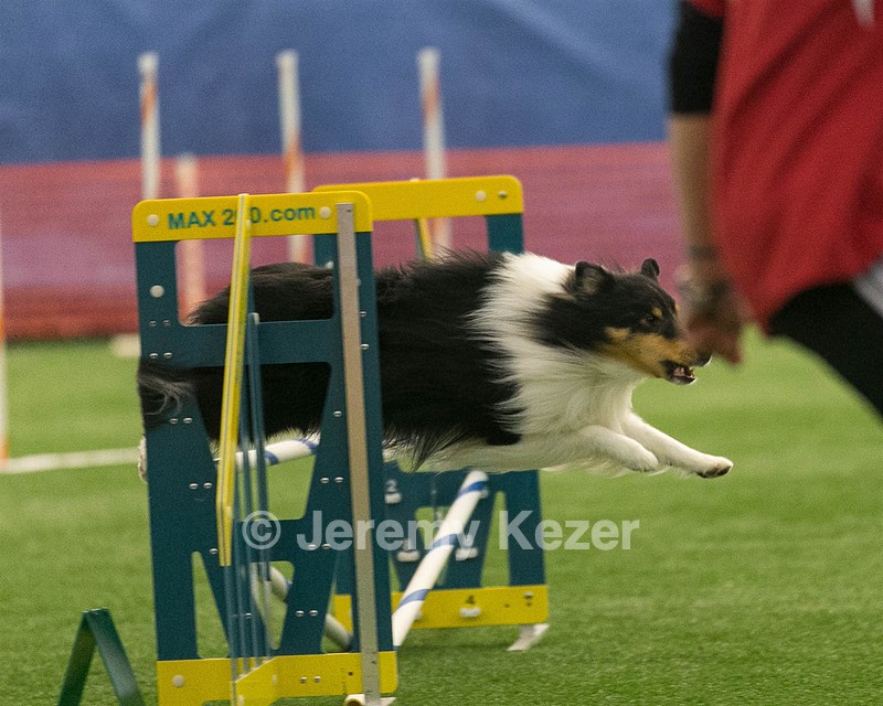 20150321-LEAP-1344.jpg