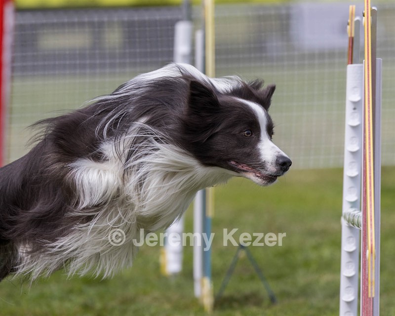 20230916-PVKC-2047.jpg