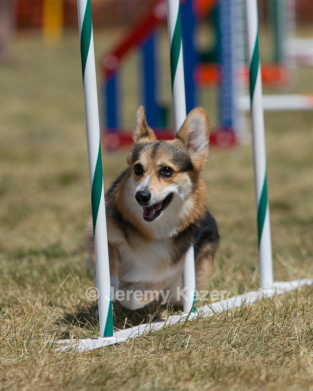 20150614-CCKC-1840.jpg