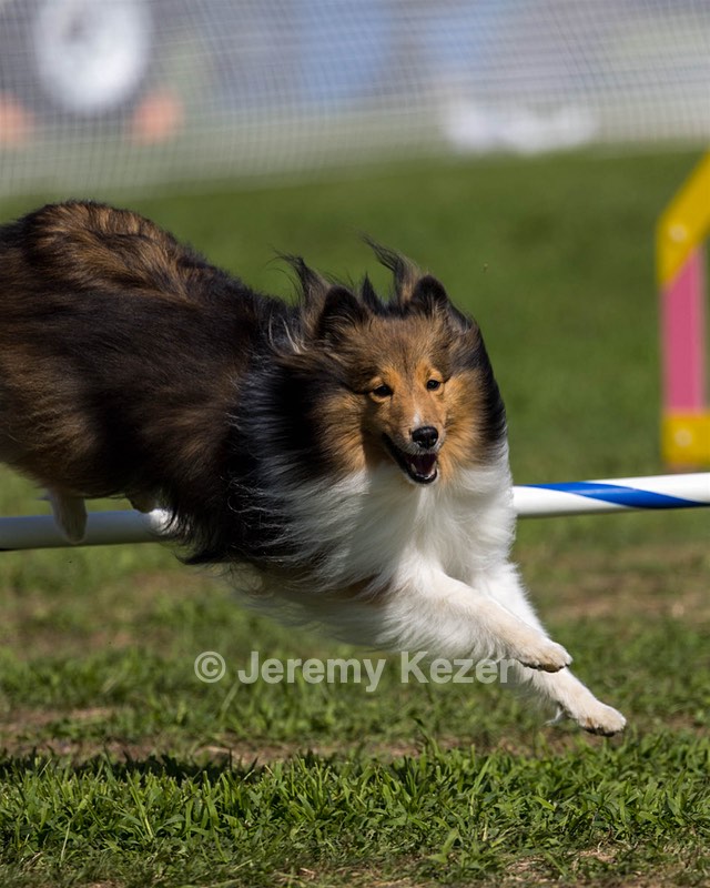 20220917-PVKC-0089.jpg