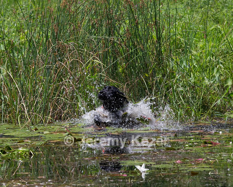 Tiffi Wolcott