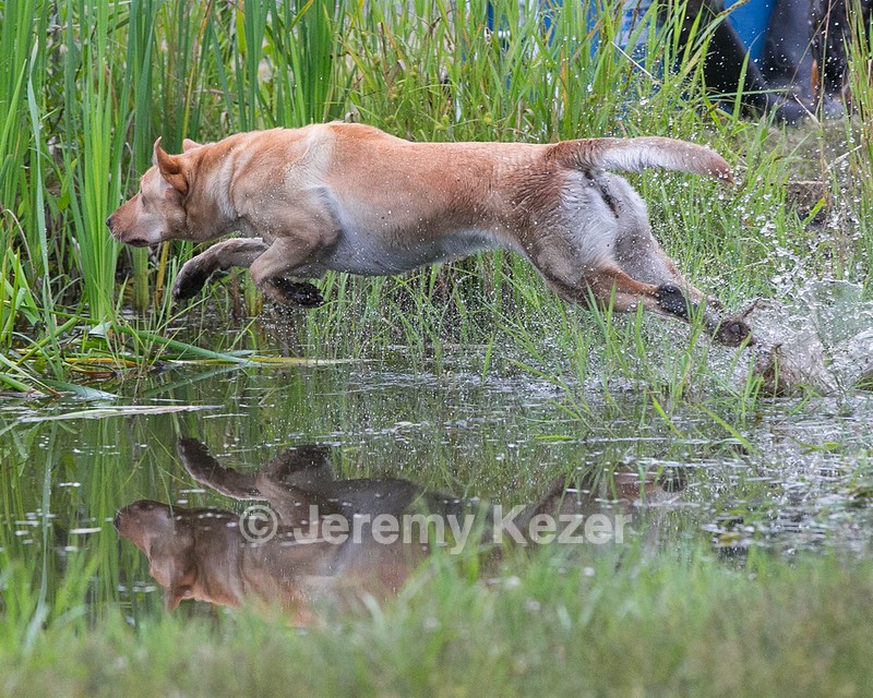 20130713-MHB2-0300.jpg