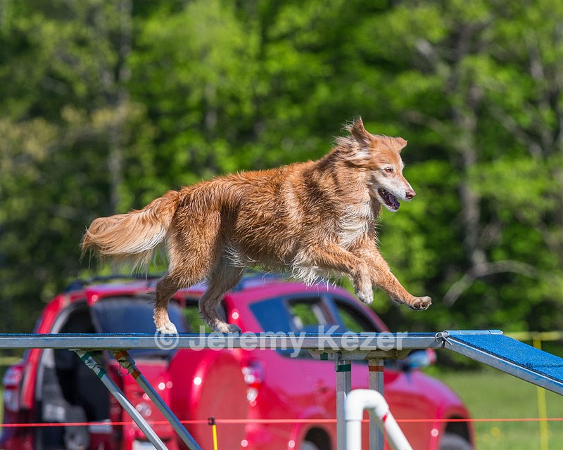 River Crimmins