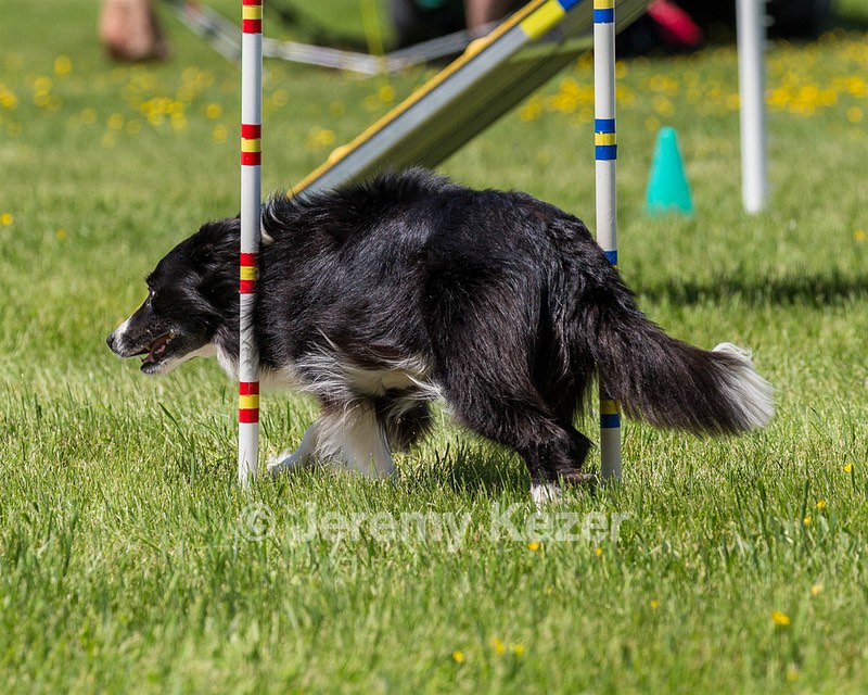 20170520-NEAT-1610.jpg