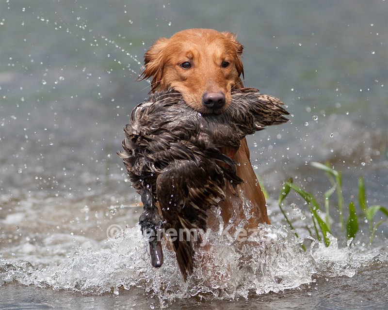 20080601-SRW-1205.jpg