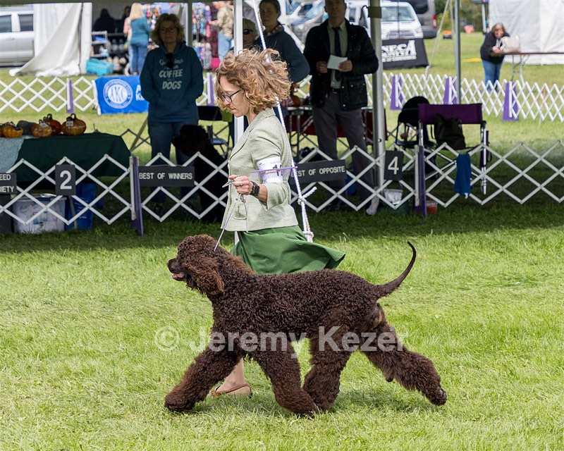 12 - Hooligan N Epik Raindrops On Roses (Agatha)