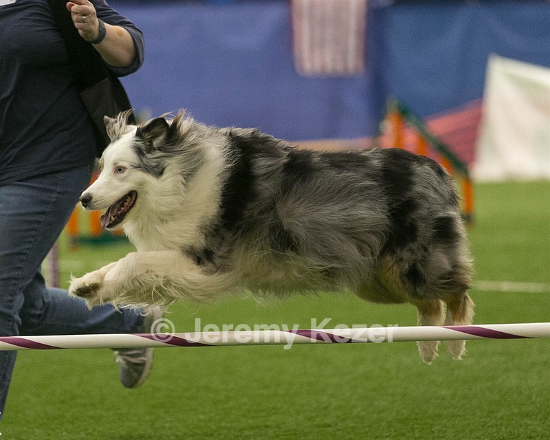 20150321-LEAP-1472.jpg