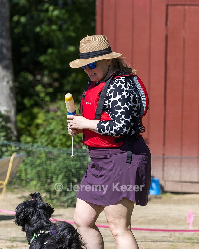 Dottie Notestine