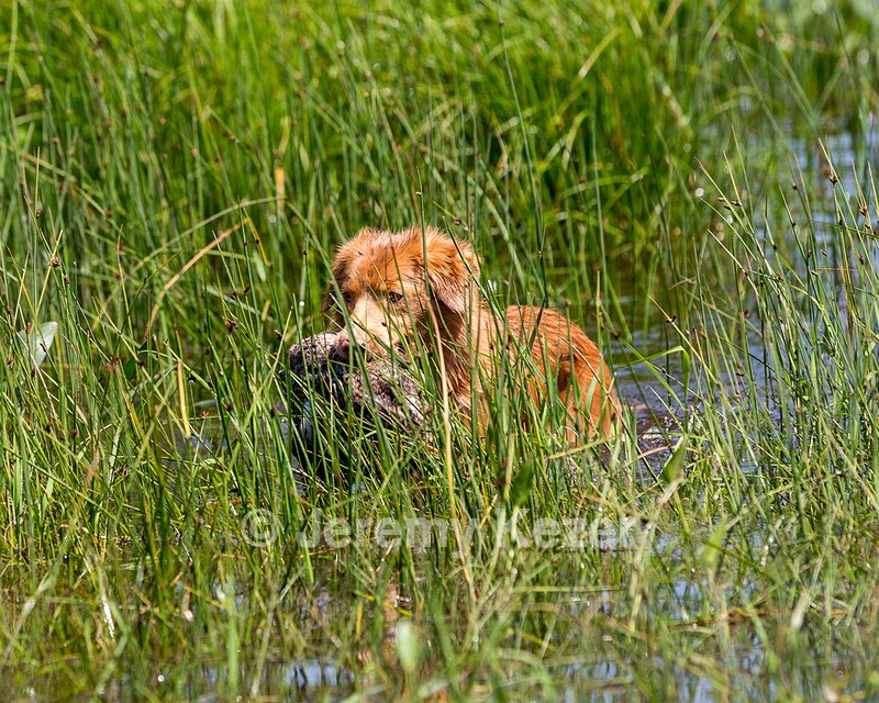 Delilah Cyr