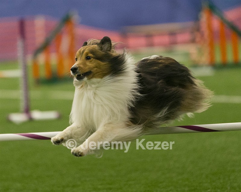 20150321-LEAP-1382.jpg