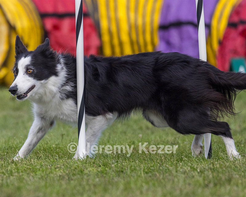 20230917-PVKC-2741.jpg