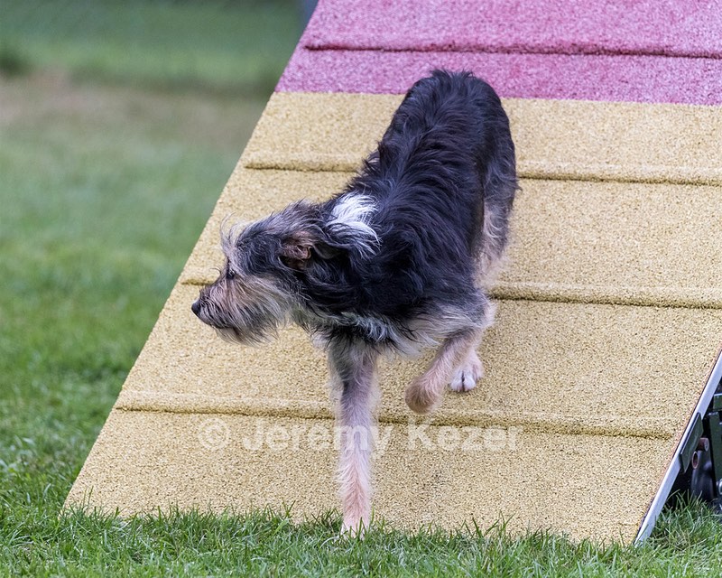 20200819-2894.jpg
