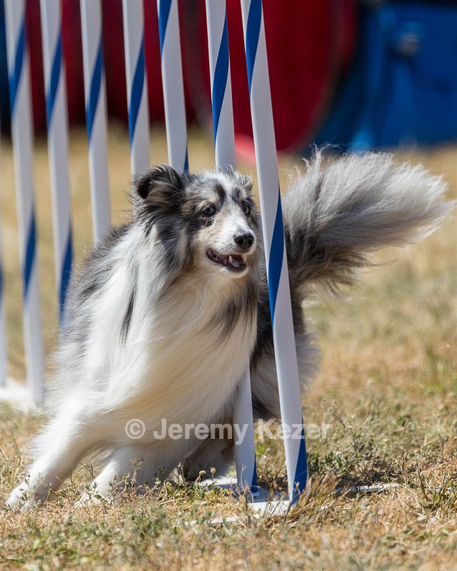 20160618-CCKC-1926.jpg