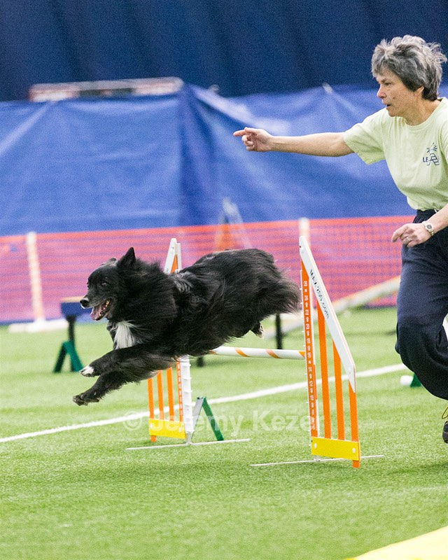 20150322-LEAP-0365.jpg