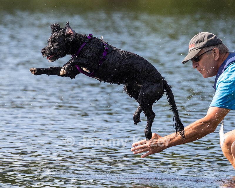 Diamond Nelson