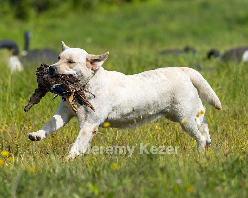 Mary Jane McClellan