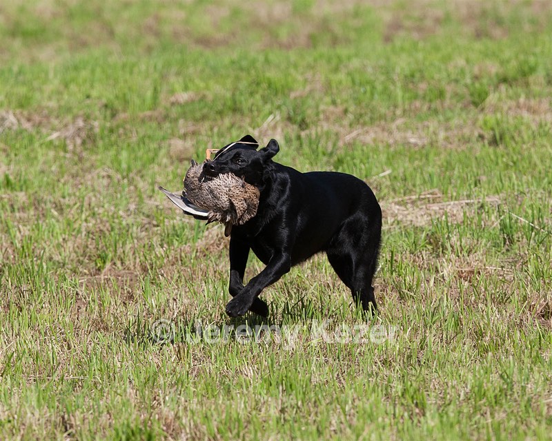 Teagan