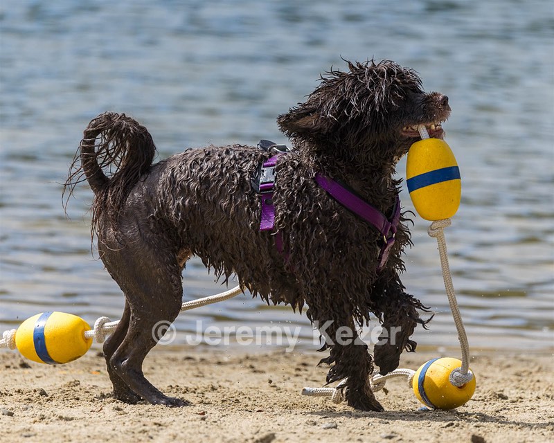 Jeepers Simmons