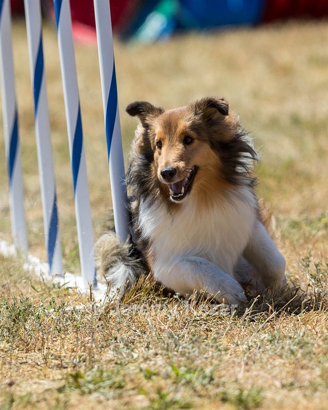20160618-CCKC-1854.jpg