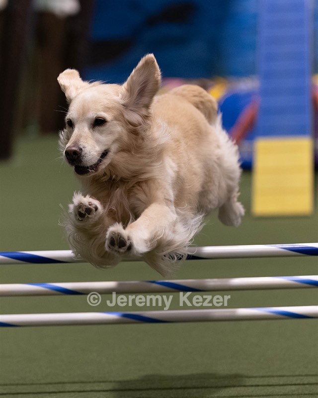 20260221-0627.jpg