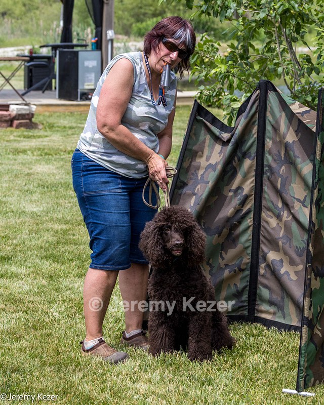 Ghillie