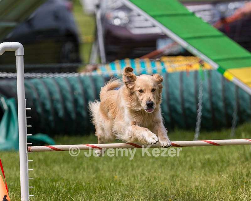 Ollie Erbe