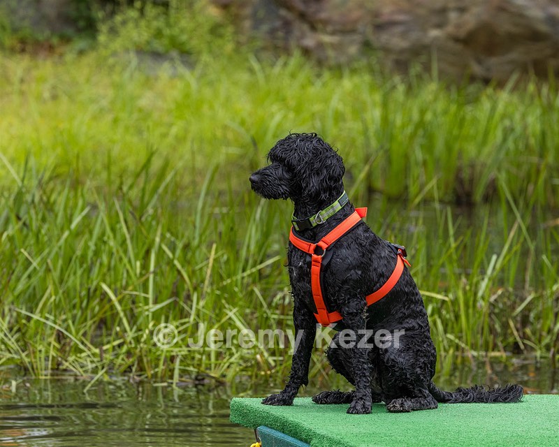 Sedona O’Brien