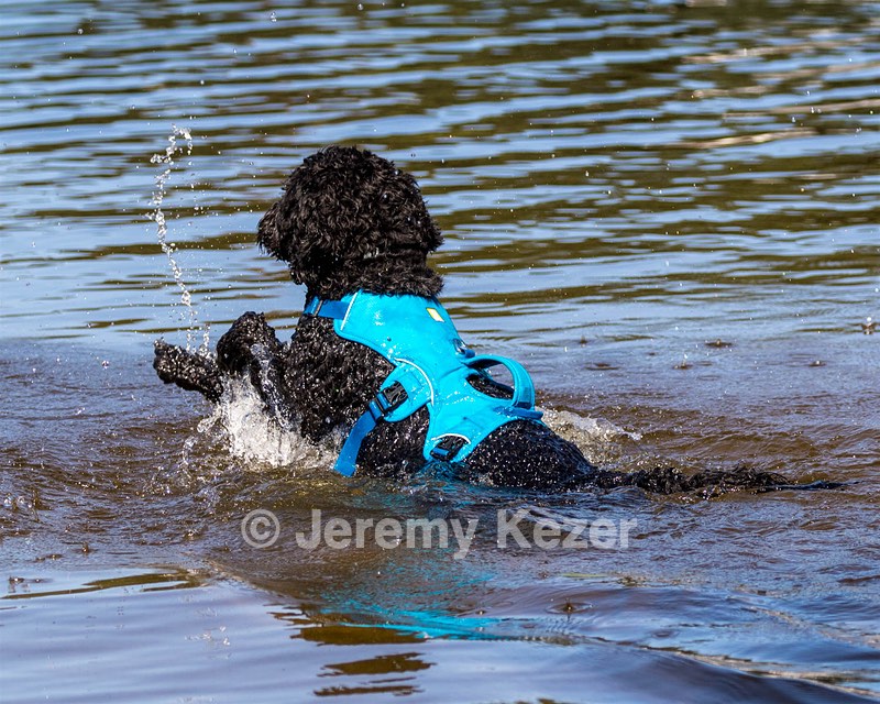 Fenwick Janet