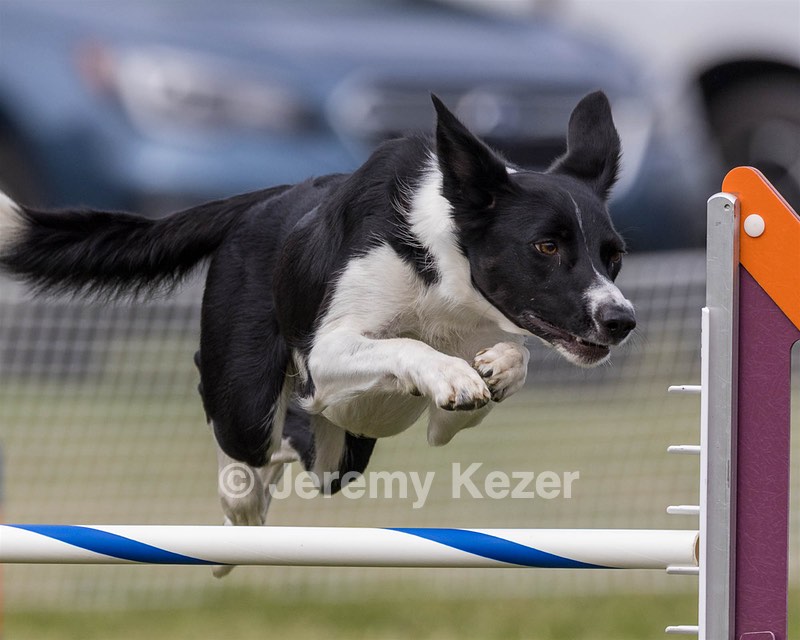 20230916-PVKC-2089.jpg