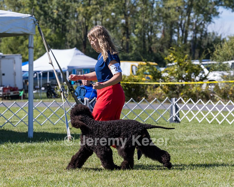 24 - POOLE'S IDE MODERN LOVE CGC (Remi)