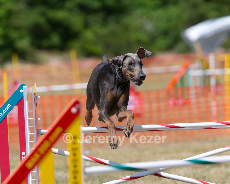 20150614-CCKC-1782.jpg