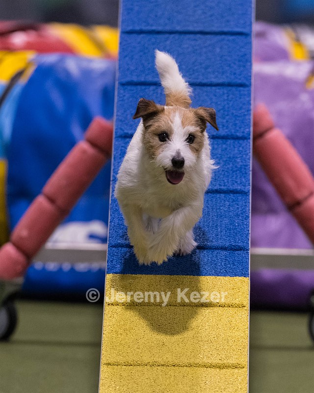 Teddy Caruso