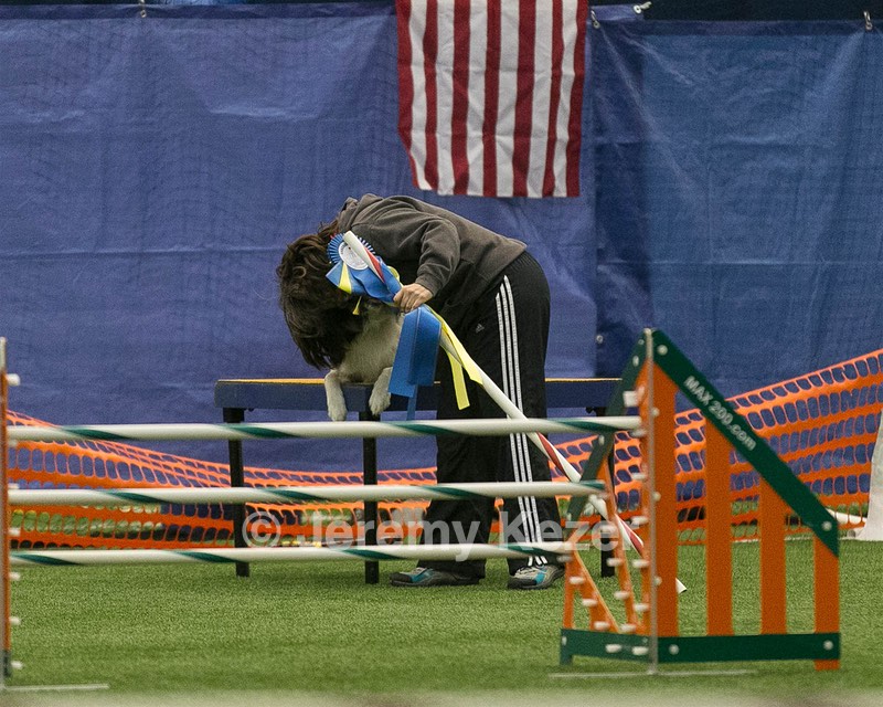 20150321-LEAP-0620.jpg