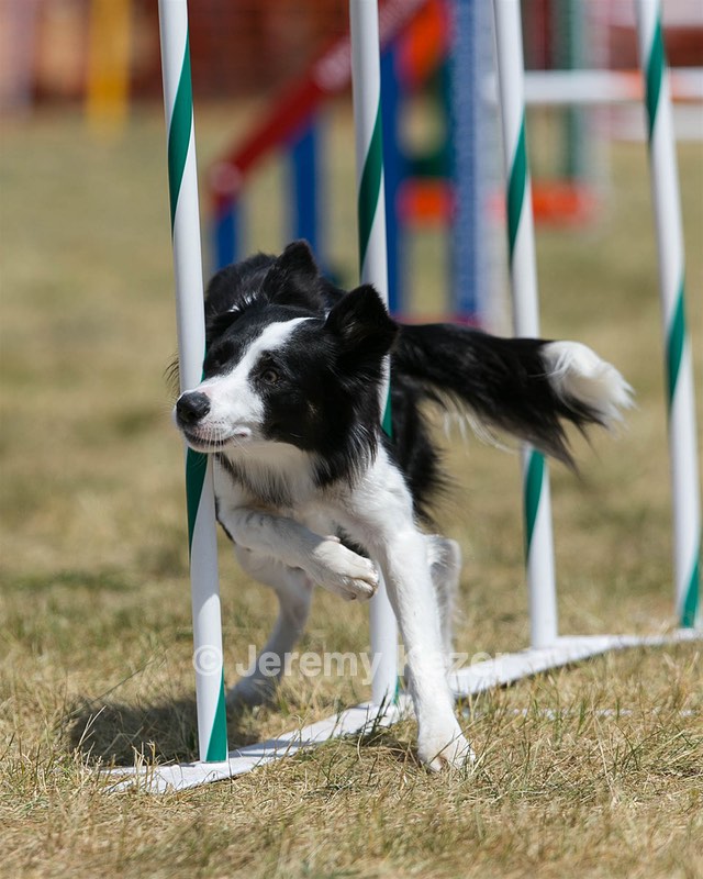 20150614-CCKC-1750.jpg