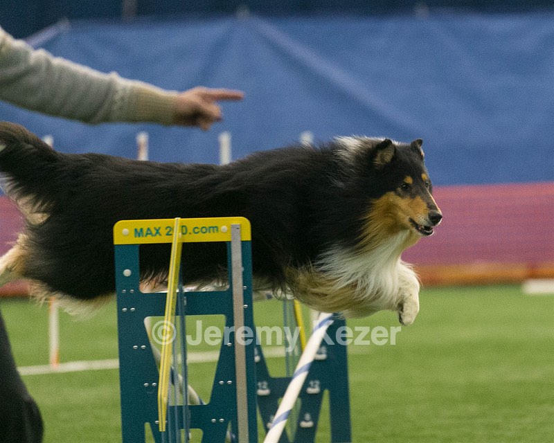 20150321-LEAP-0644.jpg