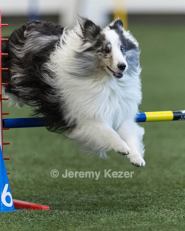 Stormy Dabrowski